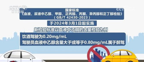 迈向2025年，正版资料免费大全下载的实践与不拔释义的落实