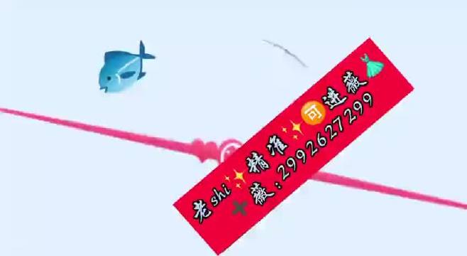 新澳今晚一肖一码准确，探索预测与解读的奥秘
