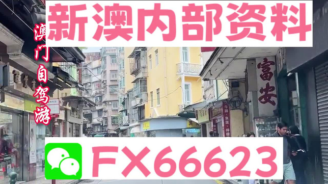 关于新澳精准资料免费提供网站的深入解析与工具释义落实