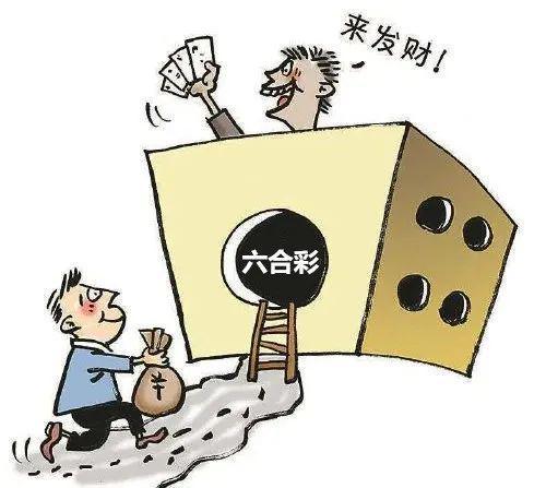 香港六合彩开奖结果及开奖记录（2025年），术语释义与解释落实