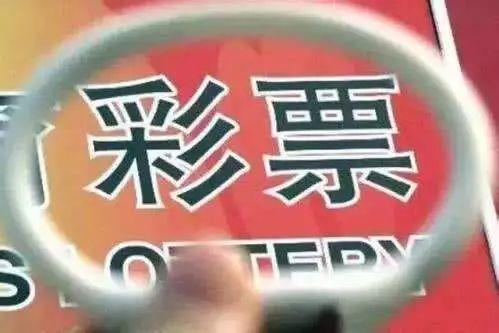 新澳门天天开彩资料大全与差异释义解释落实的探讨