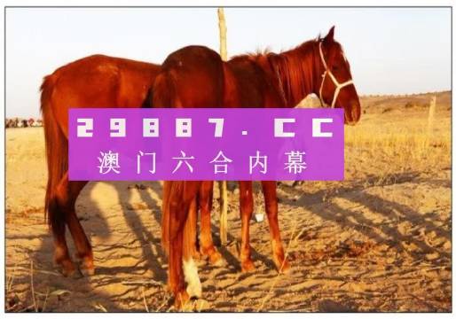 澳门六开彩天天开奖结果查询，今天澳门的联盟释义与落实