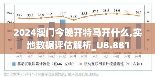 澳门特马今晚开什么，探索随机性与理性的边界，坚定释义解释落实的重要性