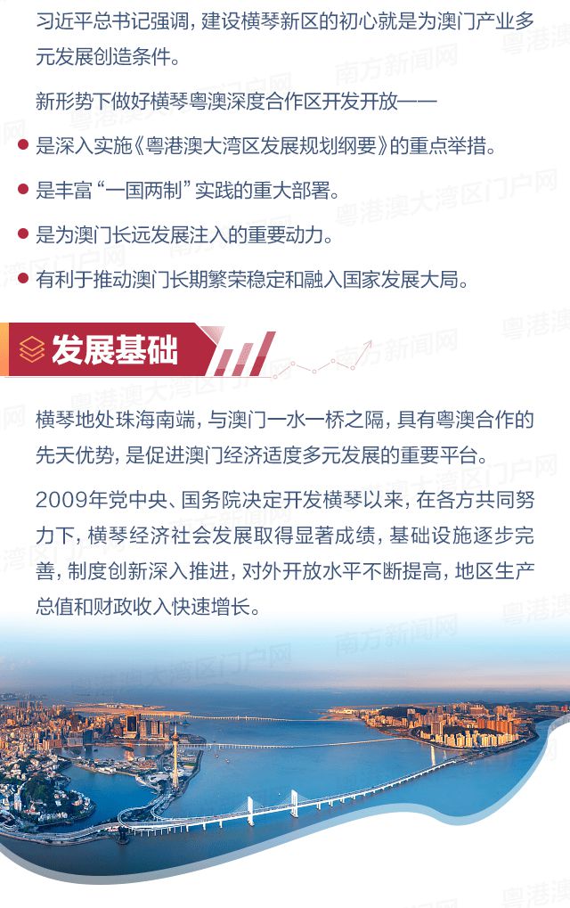探索新澳门免费大全，成金的释义与落实策略