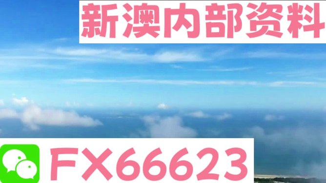 新澳内部资料最准确，深入释义、解释与落实
