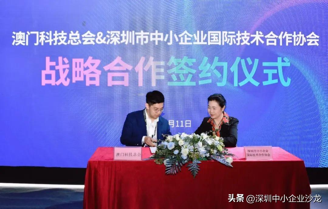 今晚澳门9点35分的创新启示与释义解释落实