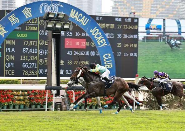 澳门特马今晚开奖53期，业务释义解释与落实策略探讨