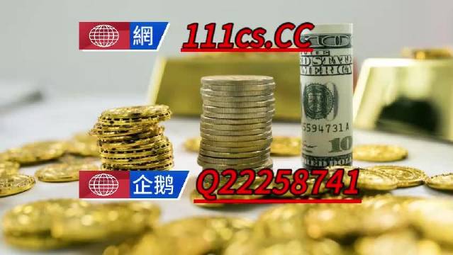 澳门王中王100%的资料三中三，深度解析与释义