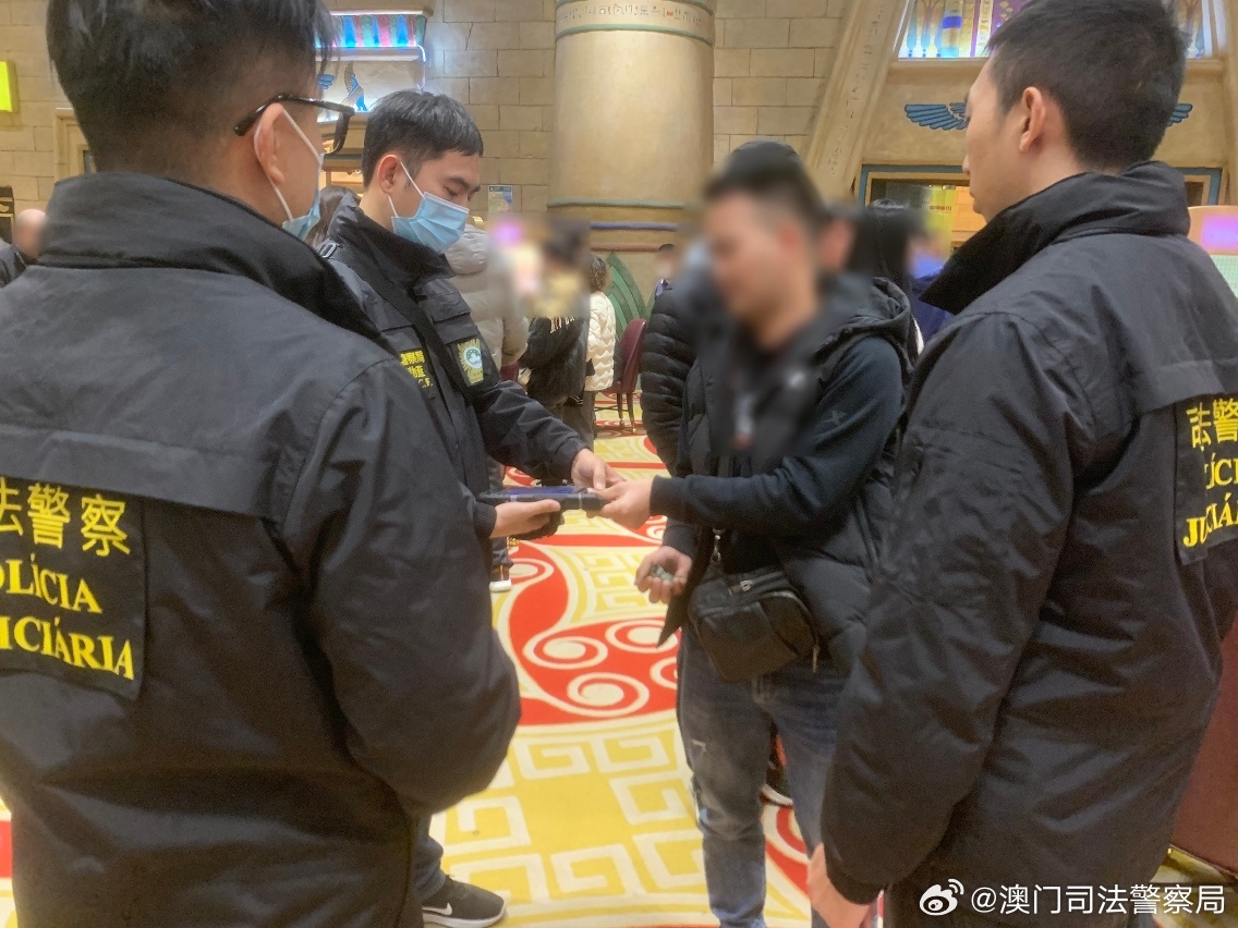 新澳门六开彩免费网站，犯罪行为的警示与防范