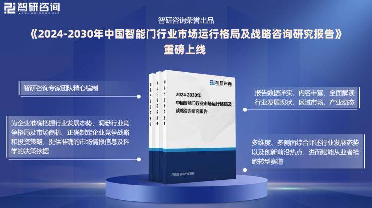 新门内部资料正版公开，深度剖析、释义与落实行动