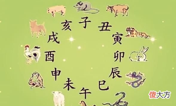 关于生肖预测与干净理念的文章解读