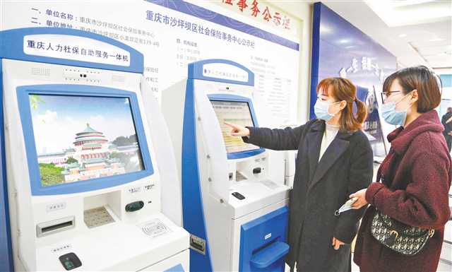 管家婆的资料一肖中特，深度解析与落实策略
