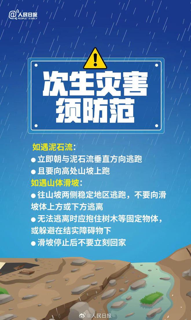 探索真实与免费，关于4949彩正版免费资料的感人故事与深入解析