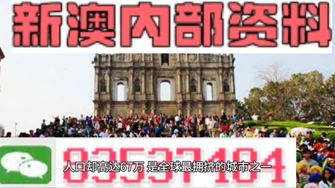 新澳新澳门正版资料与协同释义，解释与落实的重要性