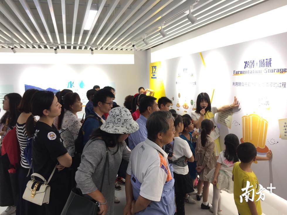 探索澳门未来，原料免费大全与专职释义解释落实的蓝图