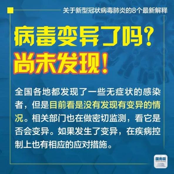 新澳天天开奖免费资料查询，释义解释与实施的深度探讨