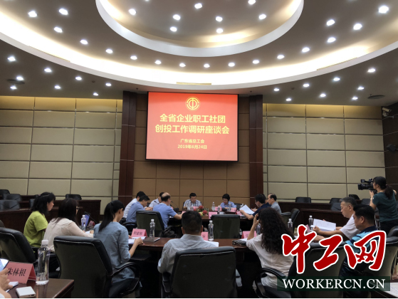 新澳门精准四肖期期准，释义、实践与探索