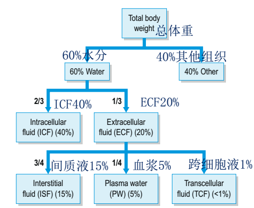 新闻资讯 第151页