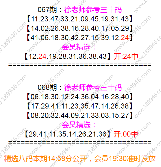 三肖三期必出特马，绝妙释义与深入解析