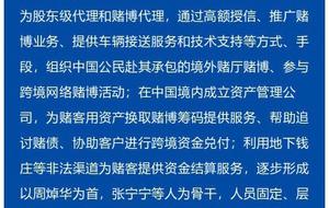 探索新澳门，直播特马现象与从容释义的实践