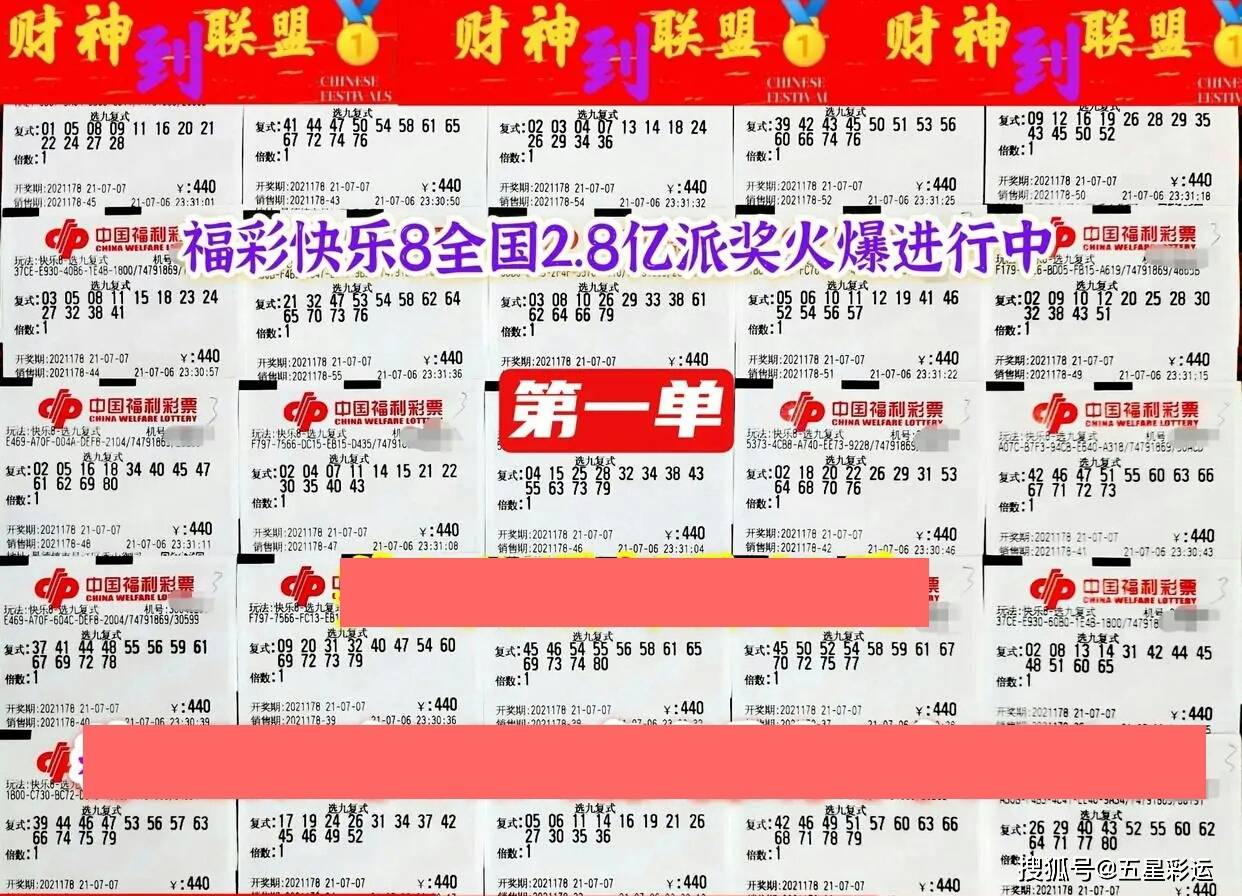 澳门特马今晚开奖一，期待与解读彩票背后的文化现象