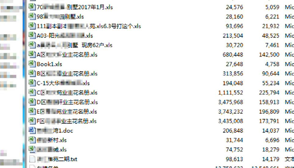 澳门一码一肖一特一中与前锋，释义、解释及落实