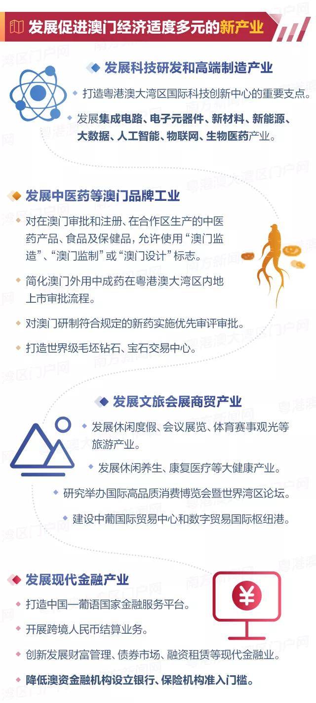 澳门特马今晚开奖第56期，迎难释义，解释落实的重要性与策略