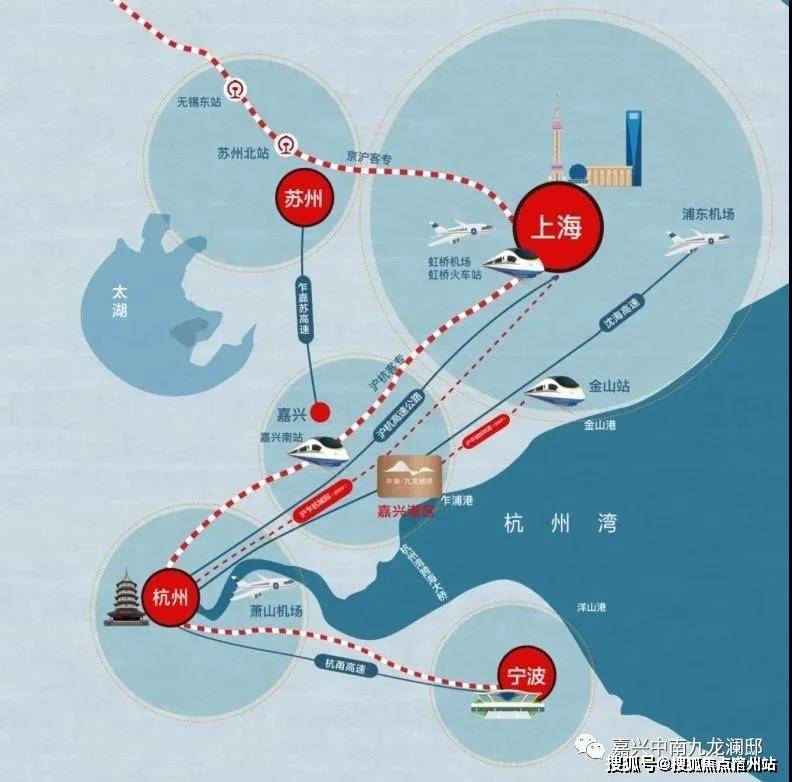澳门今晚生肖预测与费用释义解释落实探讨