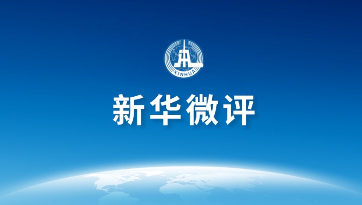 探索未来之门，关于澳门免费资料的深度解读与落实展望