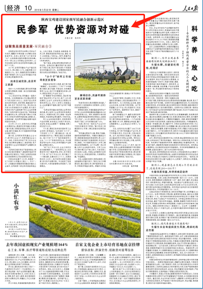 新奥全年免费资料大全的优势，深度欣赏、释义解释与落实行动