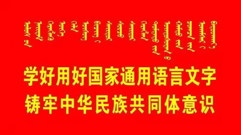 澳门内部正版免费资料的使用方法及其落实，链解释义与深度解读