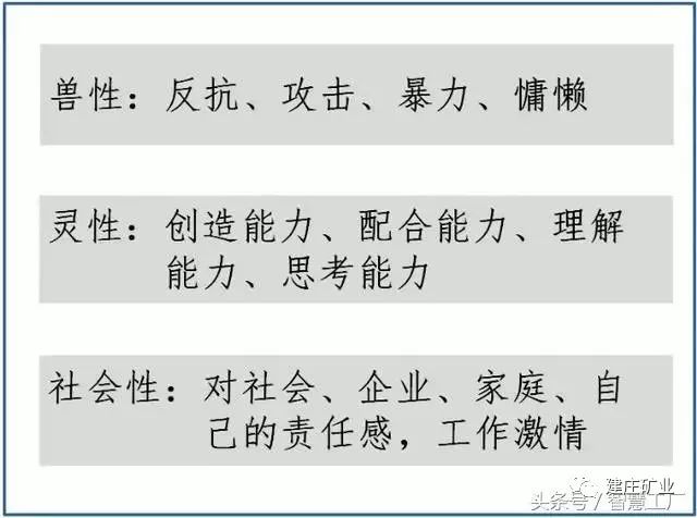 澳门特马今晚开码分析与预测，视野释义与行动落实的重要性