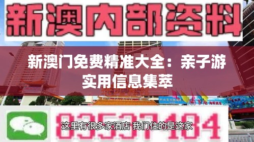 新澳门精准免费大全，一网打尽攻略秘籍
