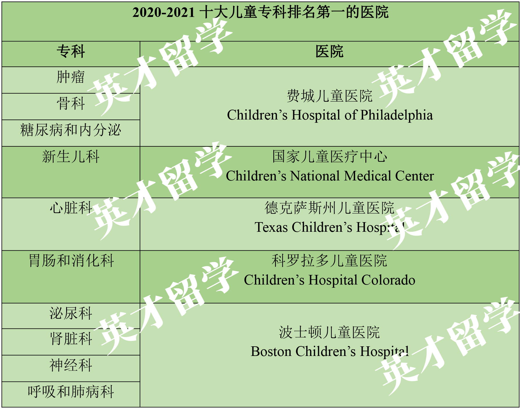 新澳2025年最新版资料，精选解释解析落实与最佳精选策略