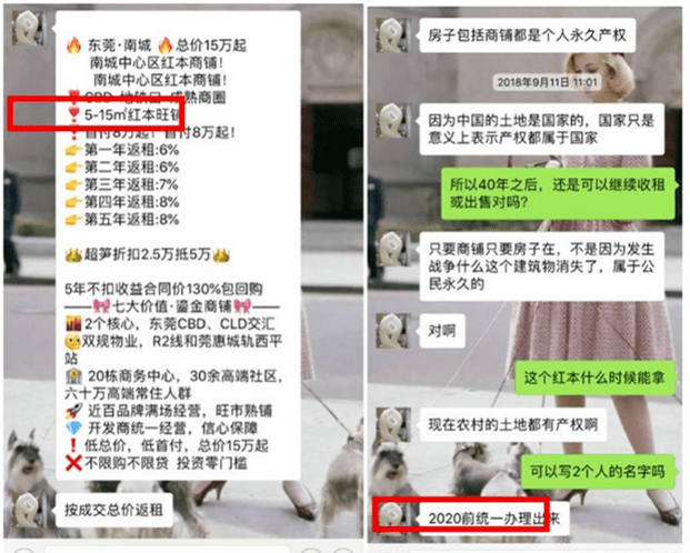 新澳门正版免费资料的查找与获取技巧分享——开发版0.21