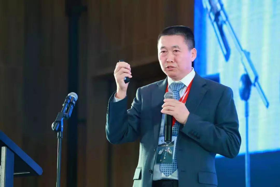 新奥2025年免费资料大全与总览