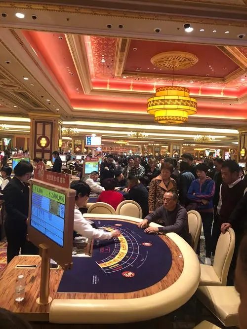 新澳门内部一码精准公开，探寻好运的秘密之旅