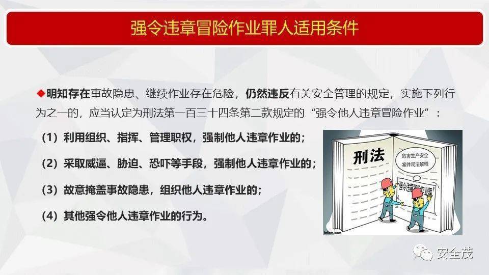 新澳精准资料免费提供，第510期的深入释义、解释与落实