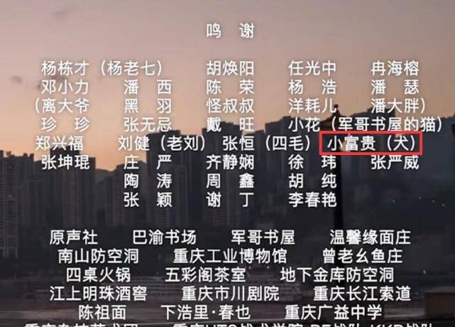 揭秘最准一码一肖，老钱庄的精准预测与解读