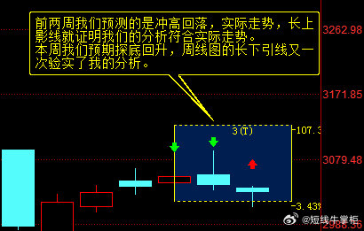 最准一肖一码深度解析与落实策略，揭秘背后的秘密与真相
