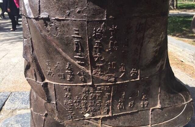 一码一肖与科学的解答解释，准确资料的落实