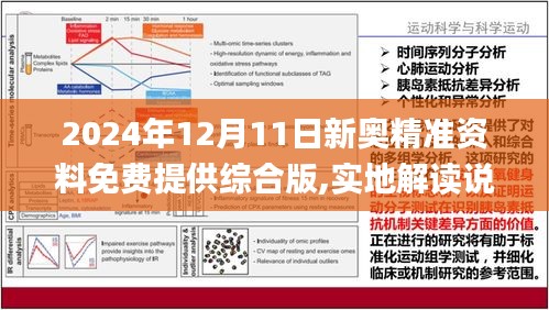 新澳2025精准正版免费资料解析与落实策略
