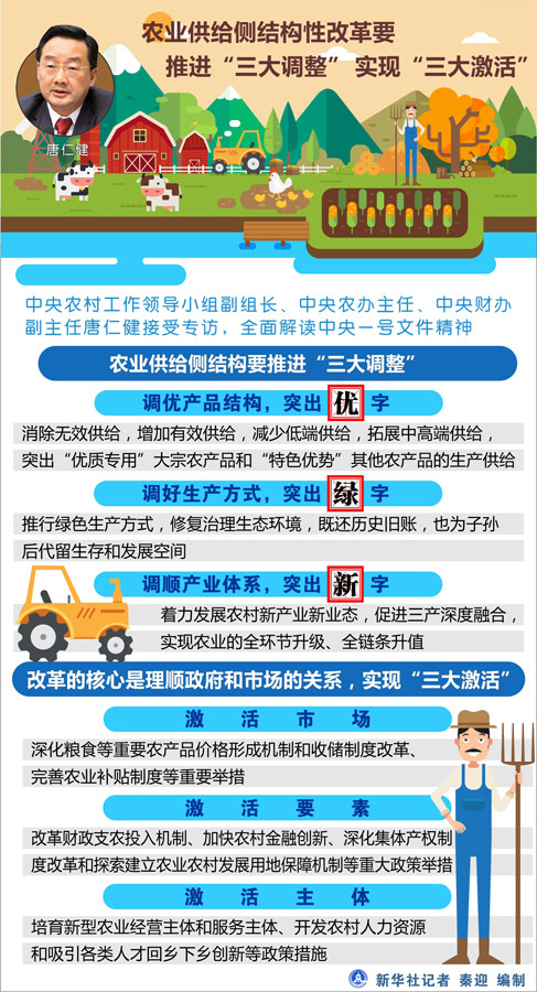 关于新澳门三期内必开一肖的解读与警示——深度探讨与解释落实
