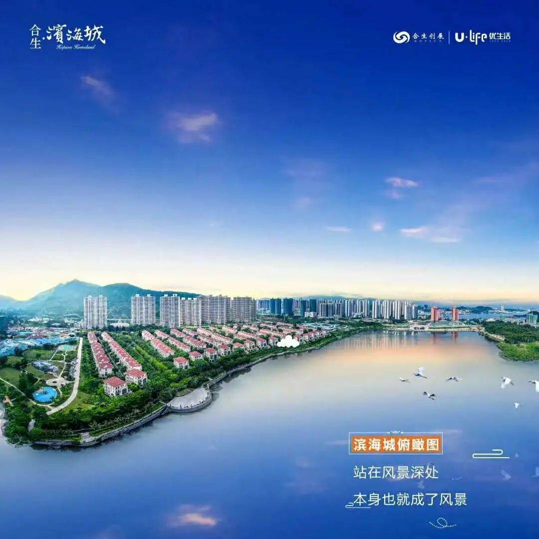 新澳2025最新资料大全，探索与解析（第021期）