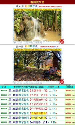 澳门王中王决策资料解析与落实行动——储蓄版3.968深度探讨