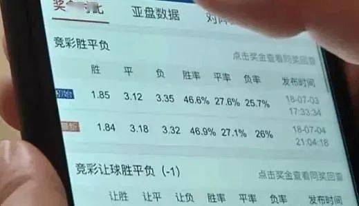关于一码一肖的准确使用方法和解释——警惕违法犯罪风险