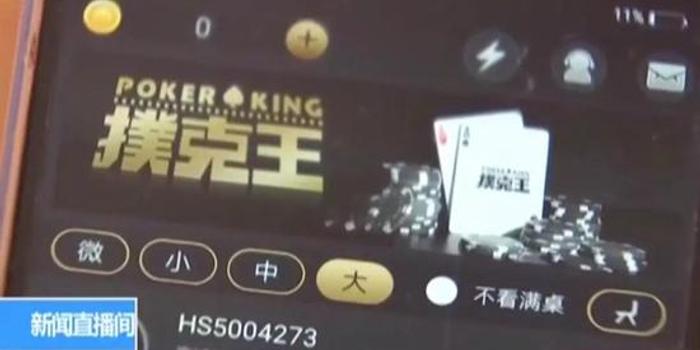 关于新澳门天天开彩免费资料前沿解答与解释落实——警惕网络赌博陷阱
