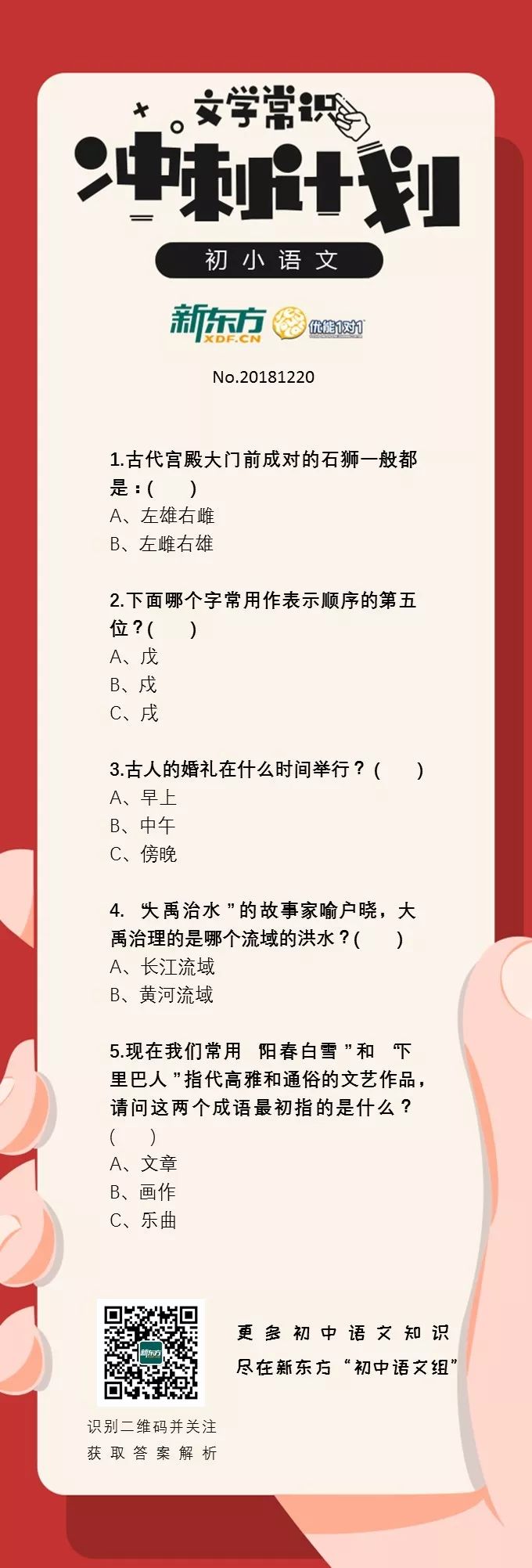 一肖三码与统计解答解释落实，探索与解析