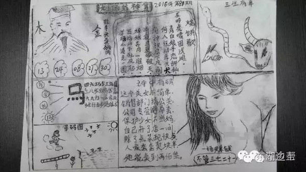 管家婆白小姐四肖四码与词语释义的深度解读与落实