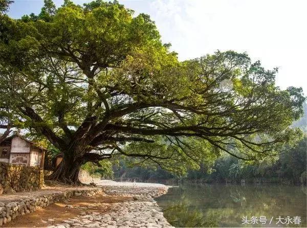 澳门三中三必中一组的统计解答解释落实详解及深度探讨——以3T14.96.09为标识